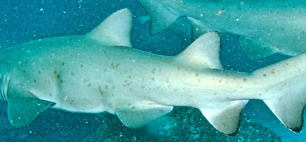 66060efd-1f9f-44ee-bd2a-9c79df5eae23