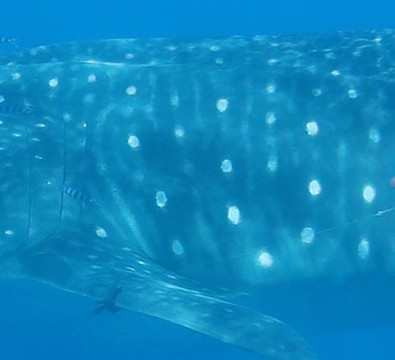 284fa4fc-13cc-42e0-8c50-48eb6b655387