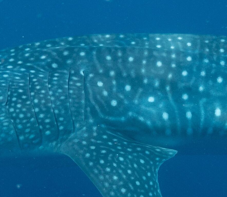 c1100bb5-3f91-4c5a-a961-14cf69a49e80