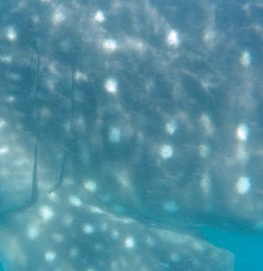 d749f92e-2628-4a28-b6b0-a7a846aed49b