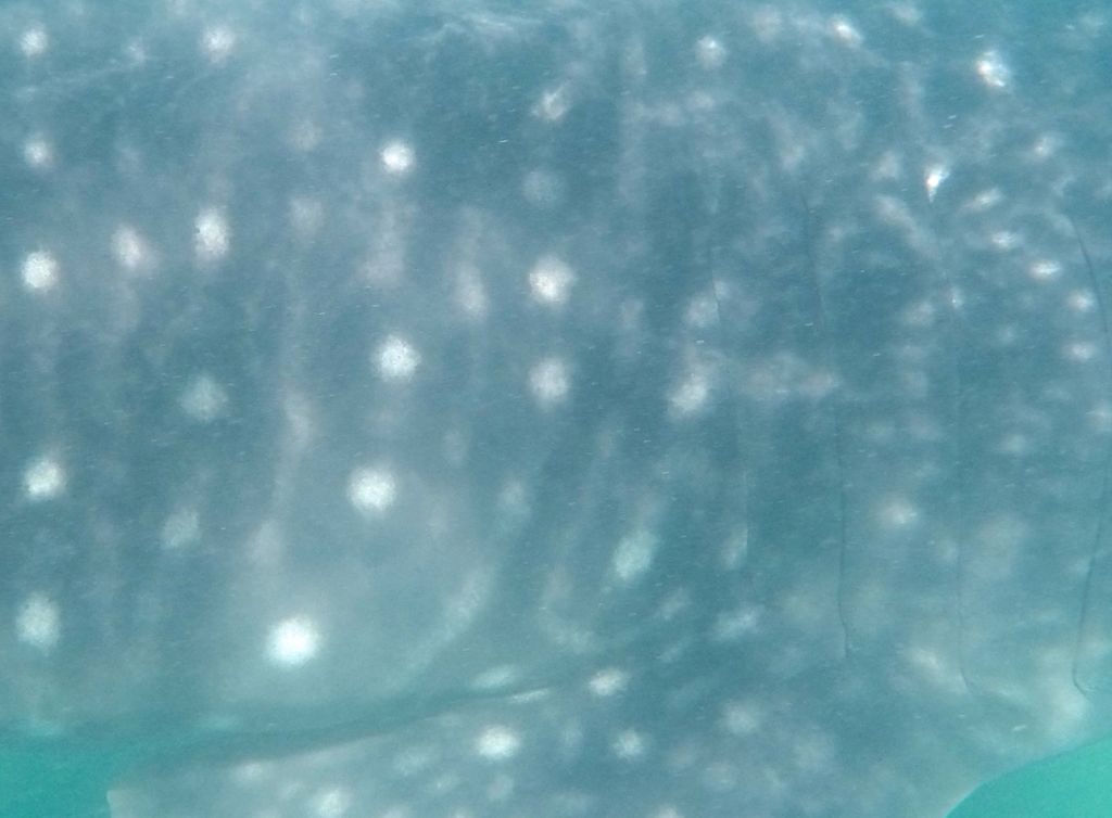 d749f92e-2628-4a28-b6b0-a7a846aed49b