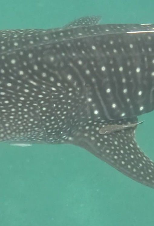 b175bbfb-3ca4-4259-9809-cb9f6f7732a5