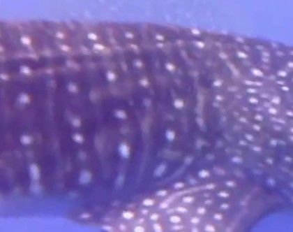 51d792ce-ad99-4417-a7b2-62c54f0eebd3