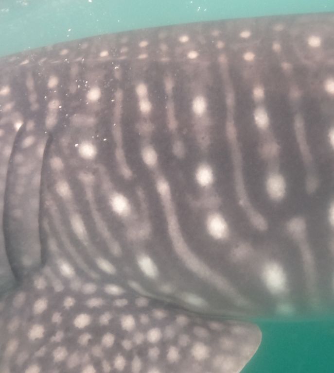 c912b22a-c190-4dd2-839c-81a1f7d47db6