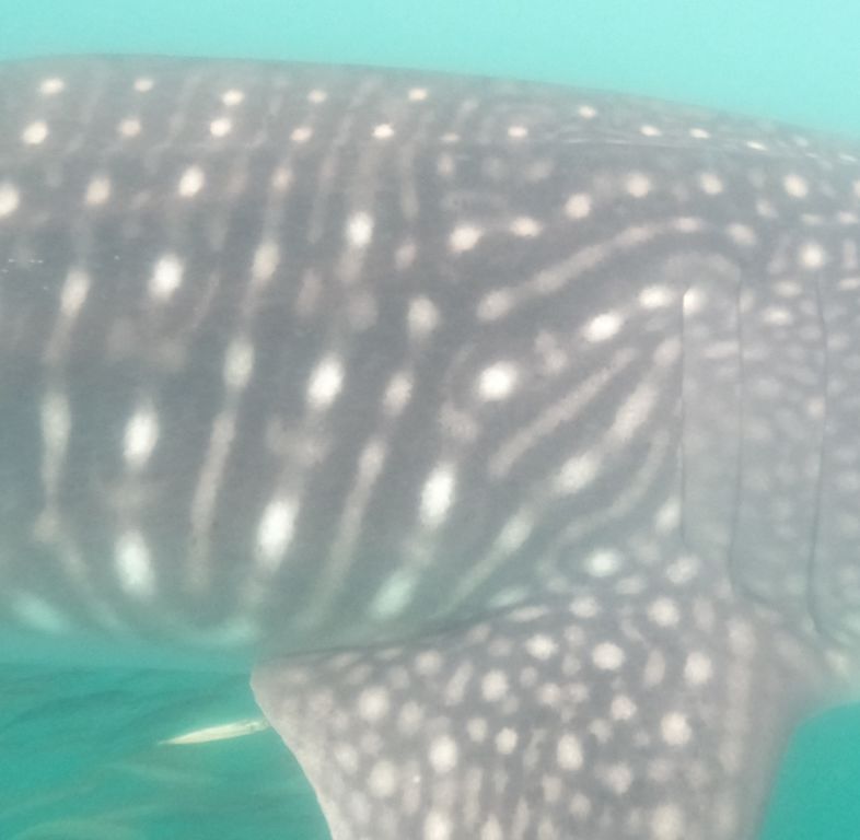 c912b22a-c190-4dd2-839c-81a1f7d47db6