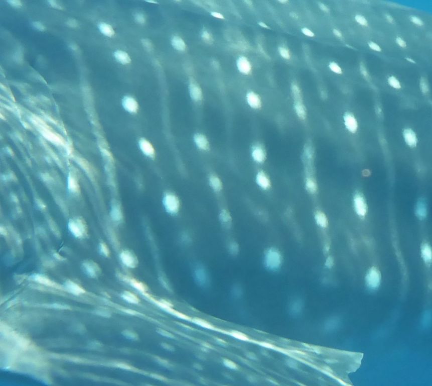 9d224b3b-731c-4d2d-ac40-473ec9e166e7