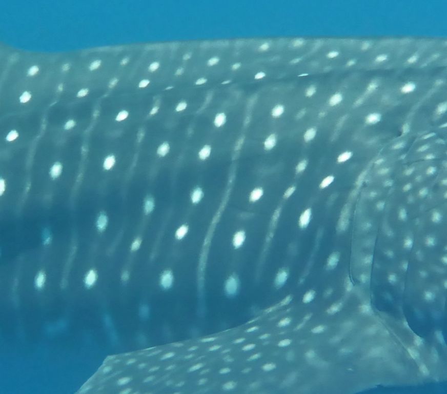 9d224b3b-731c-4d2d-ac40-473ec9e166e7