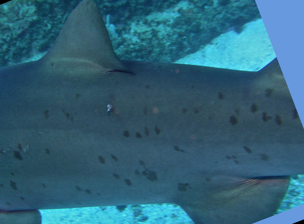 60662fdd-b071-4ec4-b585-8af0fac15576