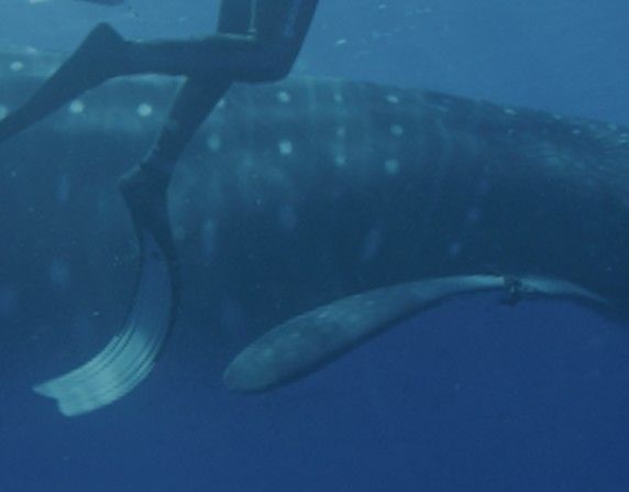 ca7a8854-daf0-4062-82d1-6426ca223de0