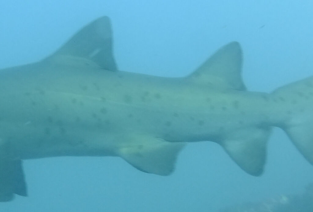 f4559adb-7ba8-4c9b-8296-ccbbb9b0fb27