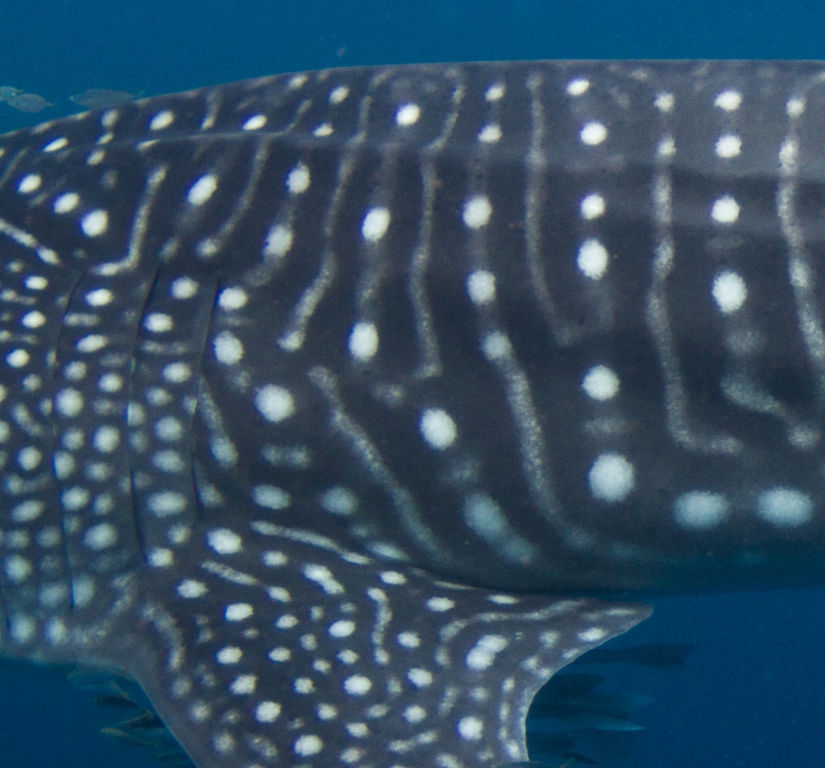 7b40b306-8211-4e54-9b5f-62c301952331