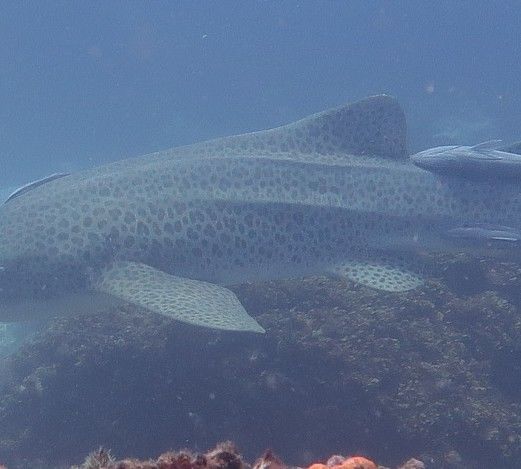 68b485ac-80be-4b72-ade5-7af7598294d1