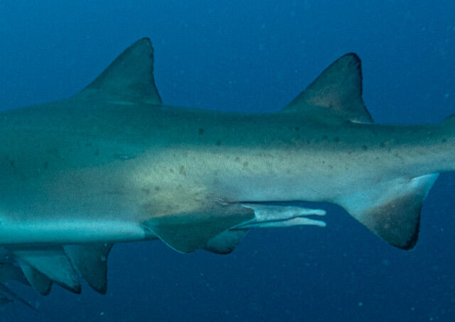 8bad8132-146e-4f1f-9a23-2b3307df057c