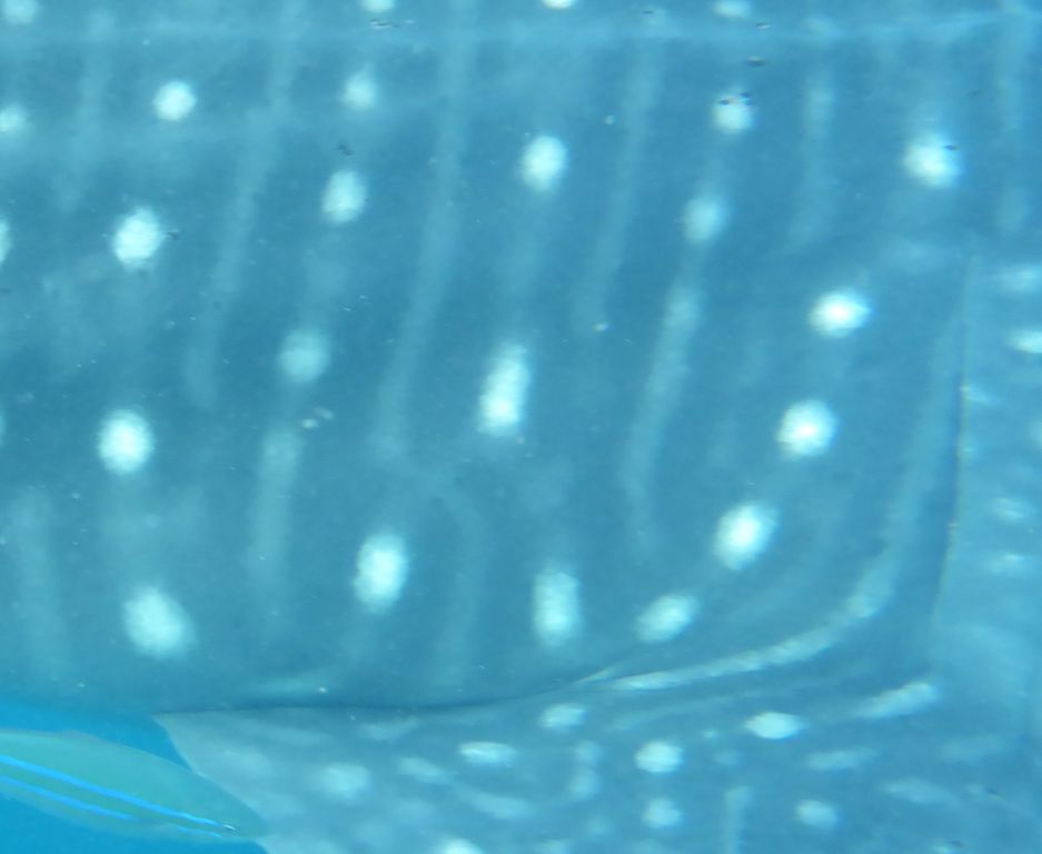 f7773740-7324-4403-aba1-f43eb6683863