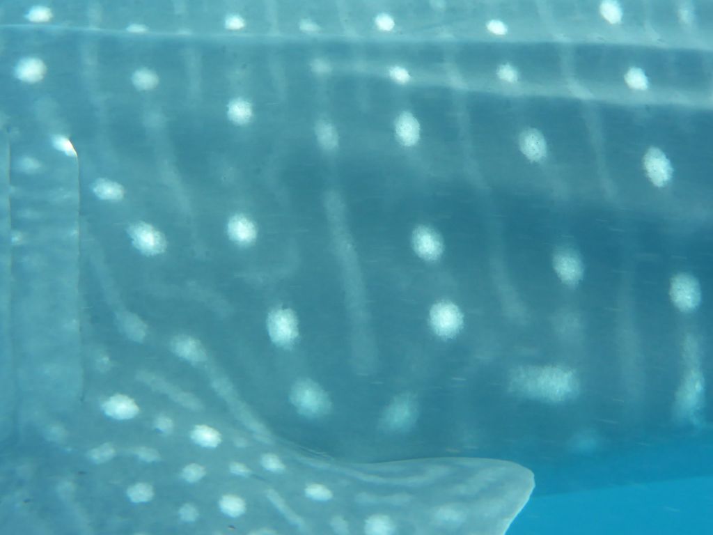 f7773740-7324-4403-aba1-f43eb6683863