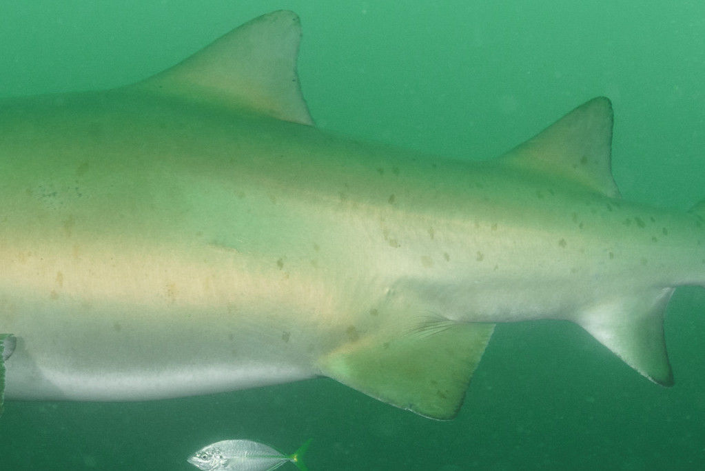 fa285150-2bb9-4bec-a5ca-ee96e5f83138