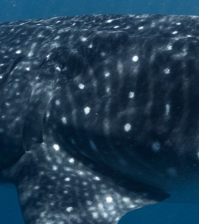 8346659c-598c-45b3-a959-0449a1e316be