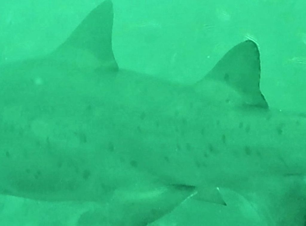 c478a4f1-a8e0-4c3f-b094-28371ab8b366