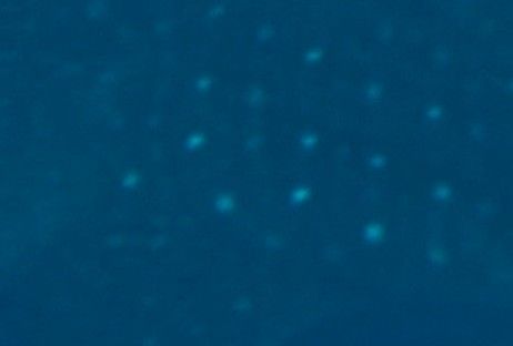 8f03936b-46ea-49a4-ba57-e304677564bc