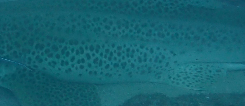 473af4d9-ee36-4db9-99f7-344631441f1c