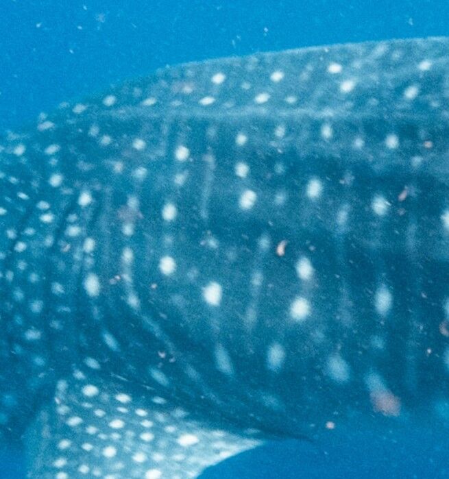 ee5f2d8e-ef85-433f-b201-01f2391a4965