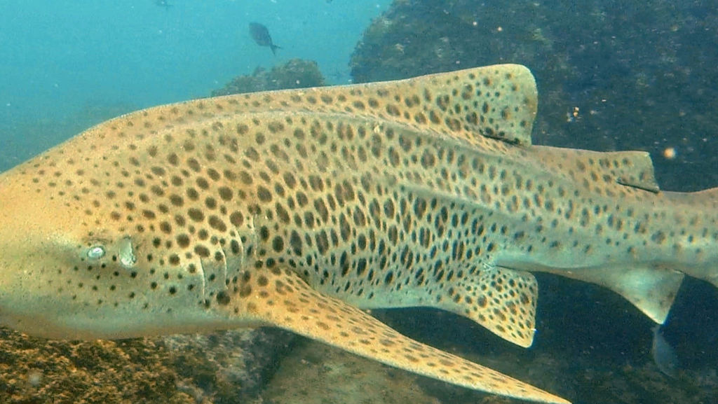 9779591a-3305-42a3-a038-8320758d8b99