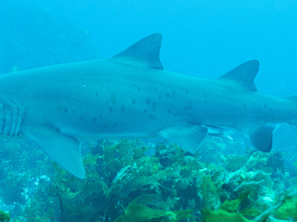 9c7510ca-d173-4c4d-9c03-68ee60120981