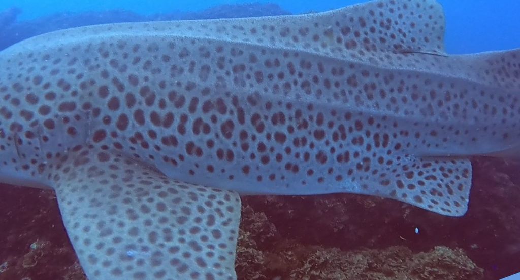 e83d8927-5f38-4244-9db9-b236159b10fa