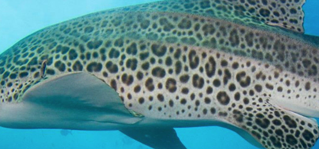 3ece43f8-70df-4fbc-a889-56bbe78cbbf7