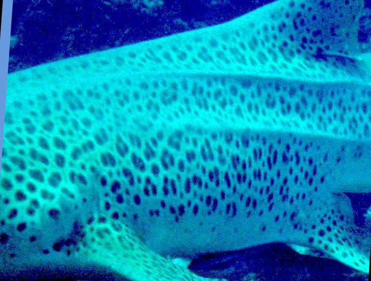 4a66f6de-ebcf-43cc-a633-f771ad9c237e