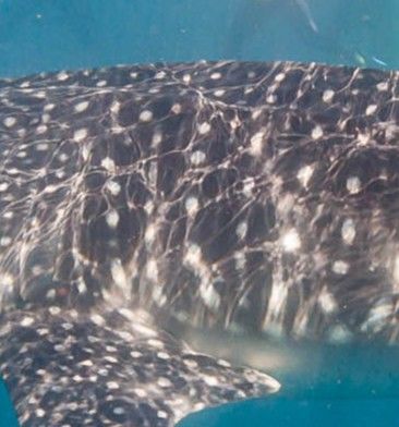 a59f8bfa-f8fc-47bb-889d-736fe2686fb1