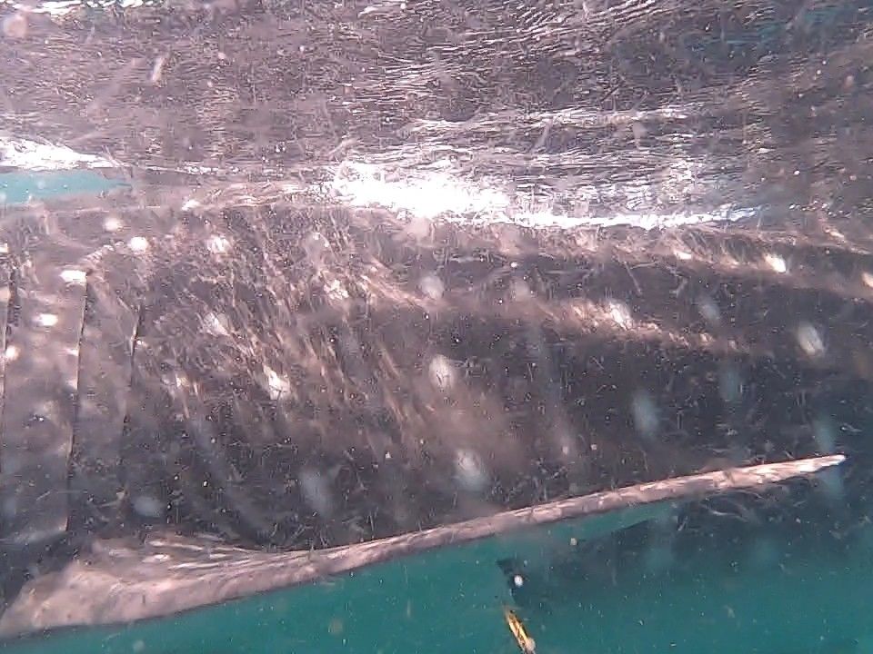 408b8d58-e9cc-48f3-beed-703608d72280