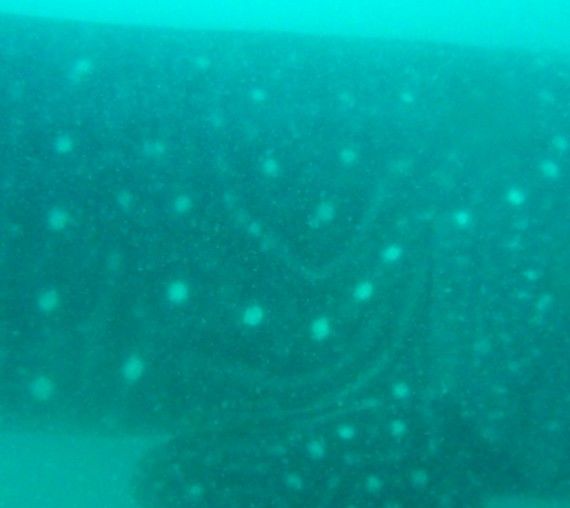 1b3352d5-4777-4cce-9567-e9eec8604c24