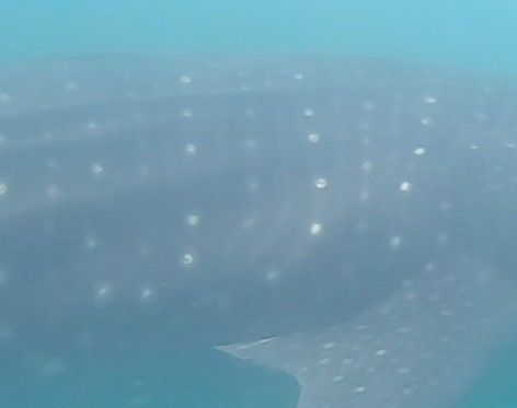 e558e509-73b1-4146-b5a0-aa47af893f94