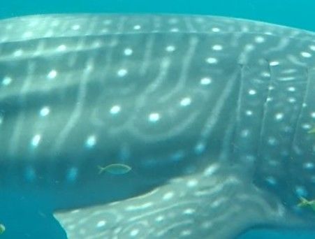 37a566d6-9a48-48fd-9c14-3b2f9ceb2a8e