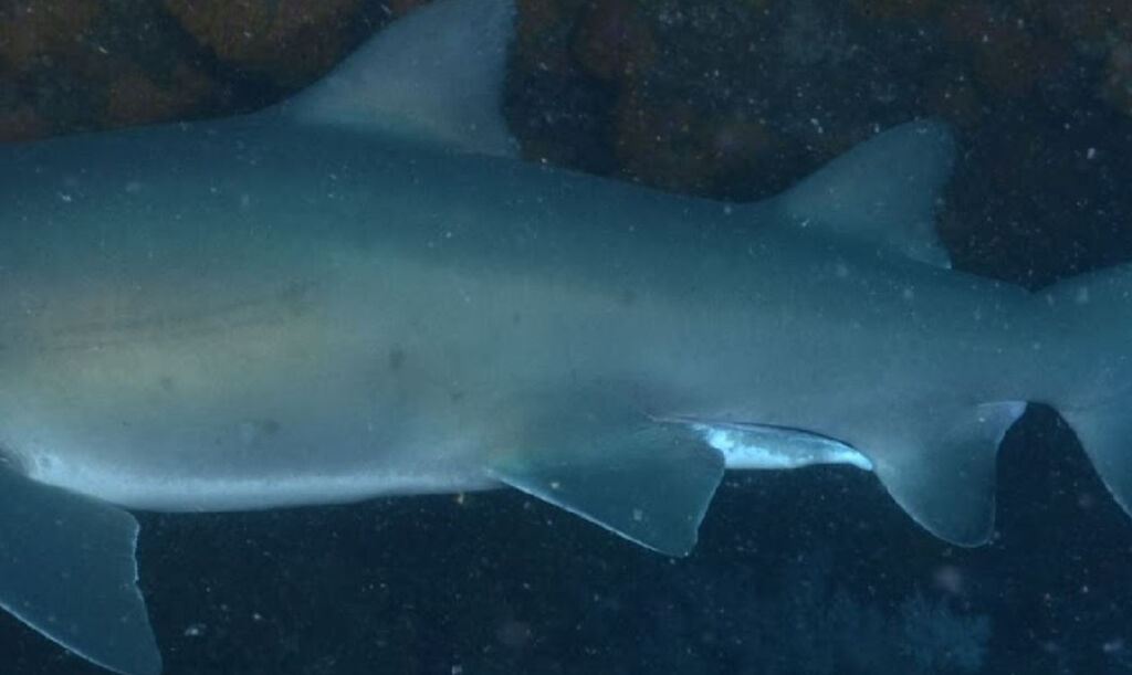 fca2e92b-7b30-48a2-bf1e-ad2acad1b846