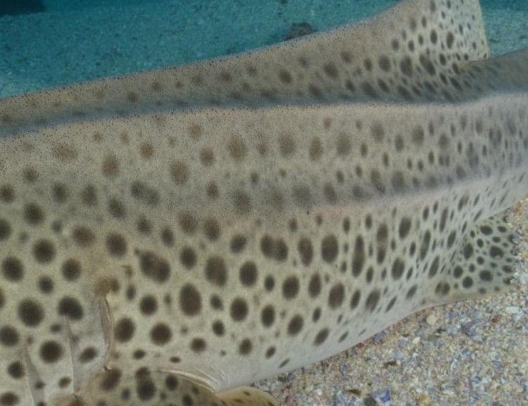 b1f41b2c-9a9d-46dd-88b8-8446ed283d80