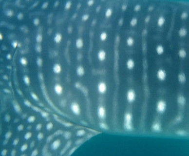 d9d50a16-9bad-4623-a754-97ca7a5c7957