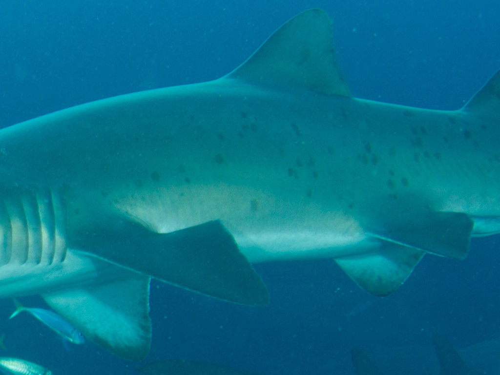 368fb16b-9745-4a0a-8662-8d3c0e283049