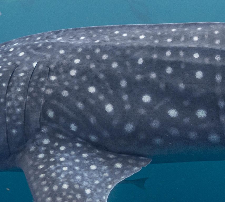 210f7503-c67f-4bee-afe7-e63a18025078