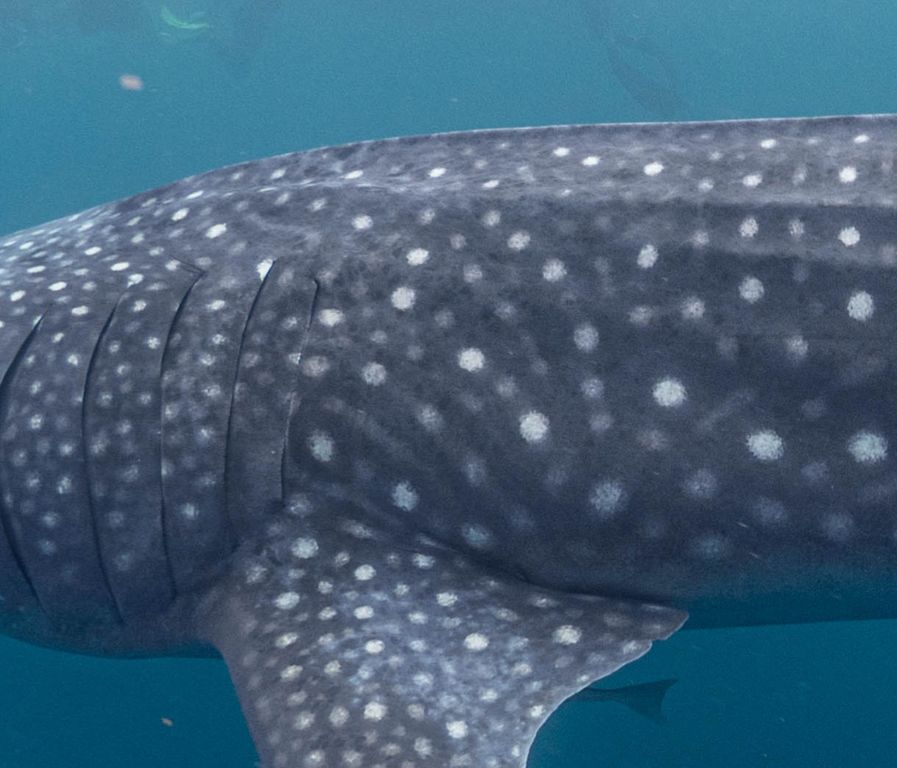 210f7503-c67f-4bee-afe7-e63a18025078