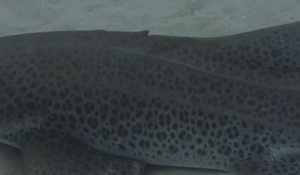 6da14e8f-d926-487c-afae-936e8b271389