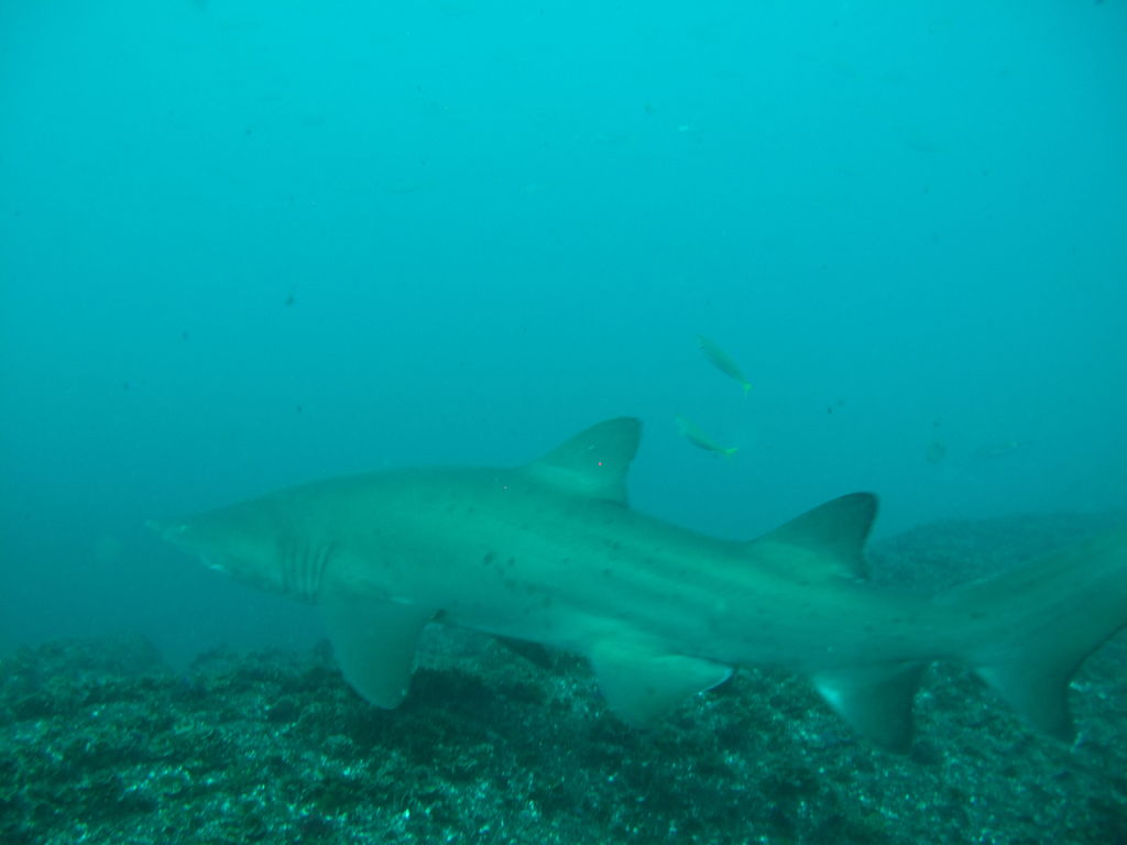 a32b9ba9-2008-4333-8919-6baca8eb6421