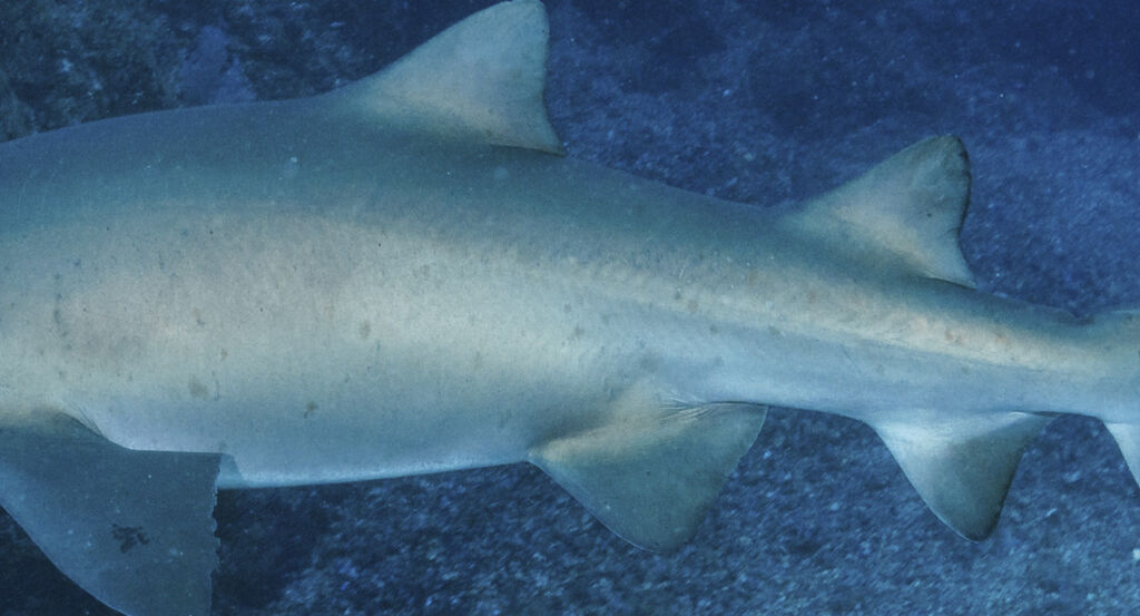 5df63dd8-f924-4ead-9b25-0cb2eca5f66e