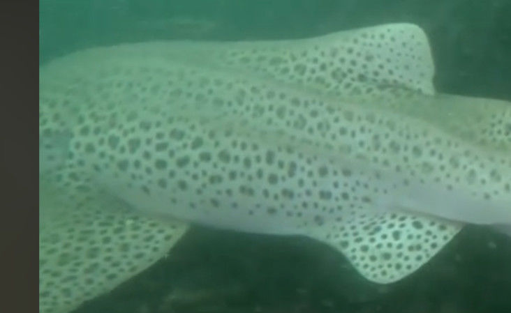 c0bd529d-f566-4e18-ab5e-e0db5e2885d9