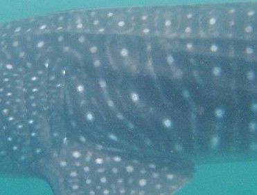 ed566f87-d33d-4c44-8338-6a515c3b2b97