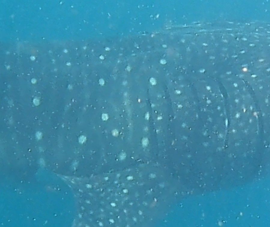 463faa3a-b9bb-4915-8bcf-d8990cbe099d