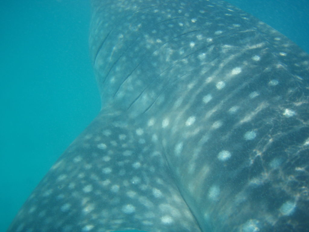 a4880831-28b7-40a7-9124-3d775b665e3d