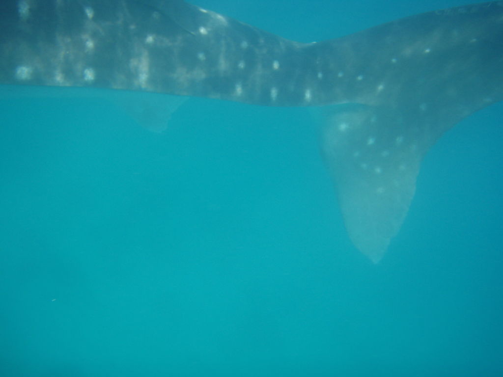 a4880831-28b7-40a7-9124-3d775b665e3d