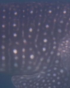 16f7cdb0-003c-42eb-aa4a-cdefb59f7acf